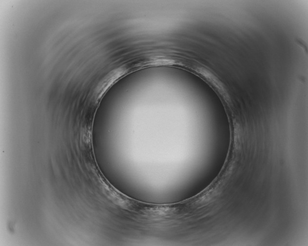 X0000102291193200808011506