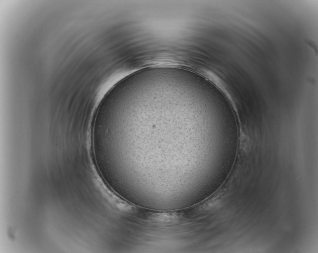 X0000102291195200808011506