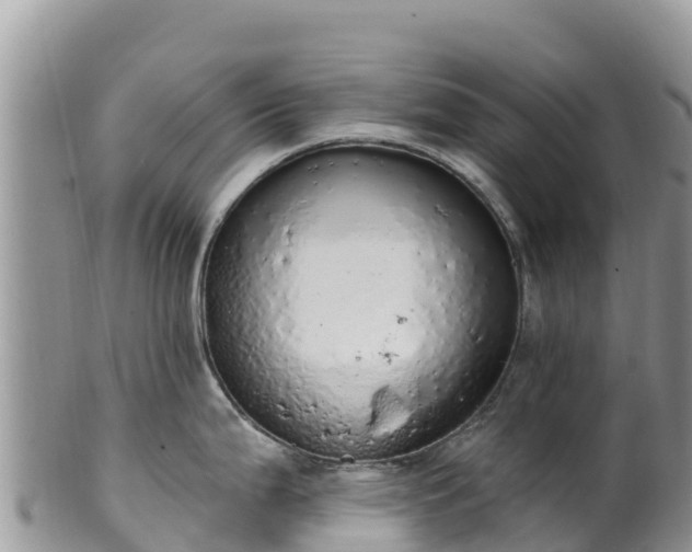 X0000102291199200808011506