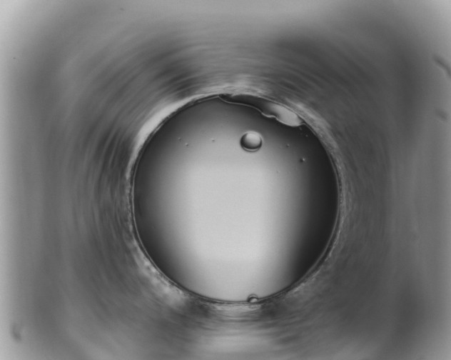 X0000102291200200808011506