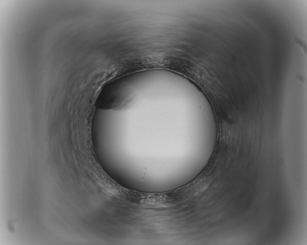 X0000102291201200808011505