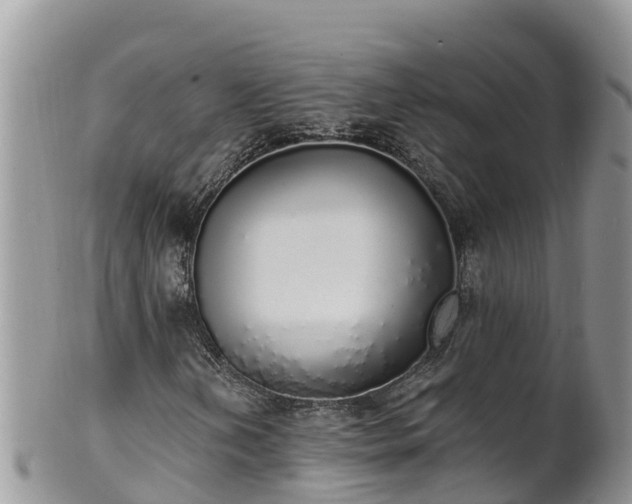 X0000102291202200808011505