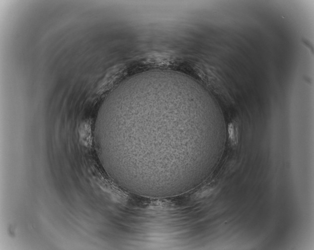 X0000102291203200808011505