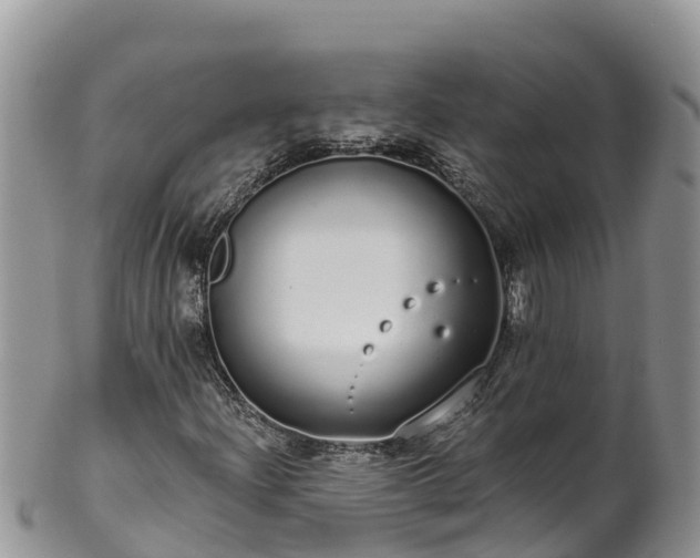 X0000102291204200808011505