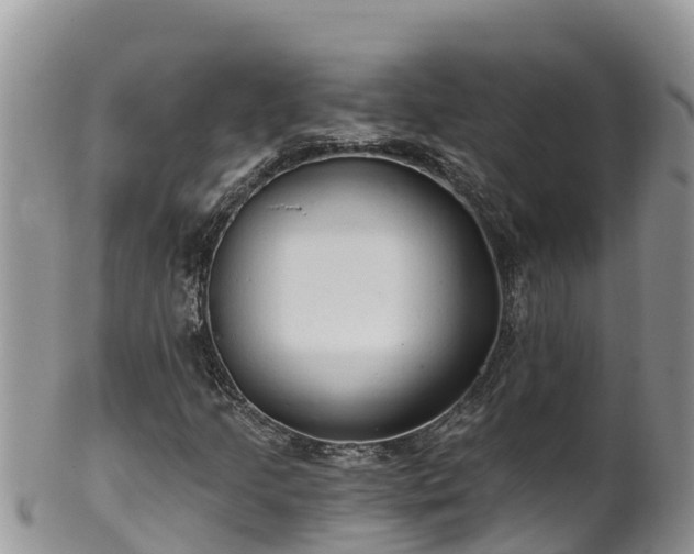 X0000102291205200808011505