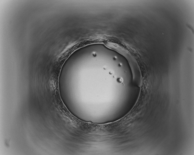 X0000102291206200808011505