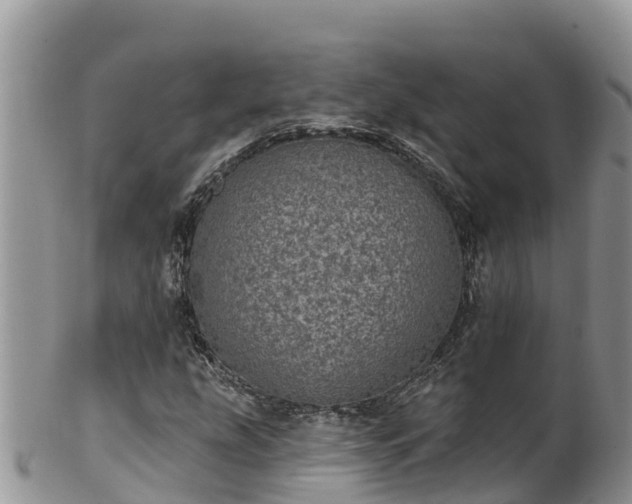 X0000102291207200808011505