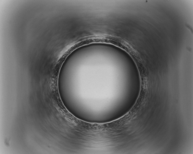 X0000102291208200808011505