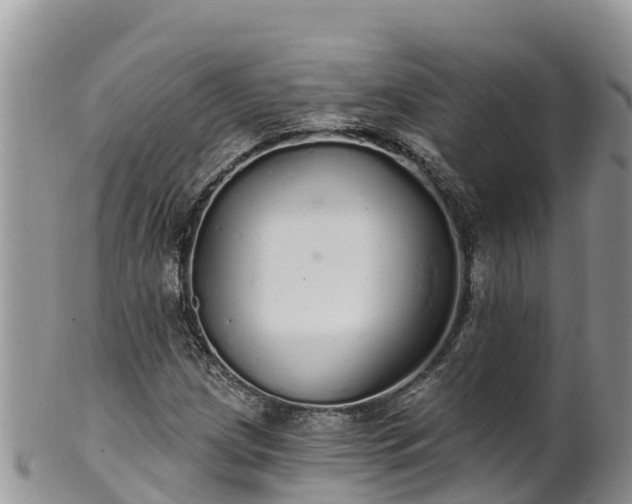 X0000102291209200808011505