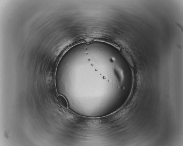 X0000102291210200808011505