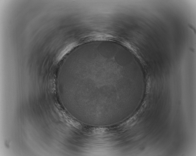 X0000102291211200808011505