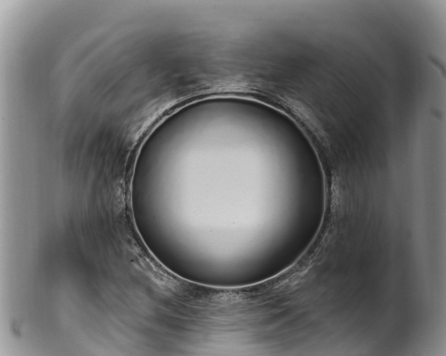 X0000102291212200808011505