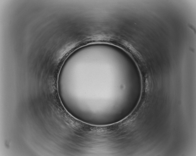 X0000102291213200808011505