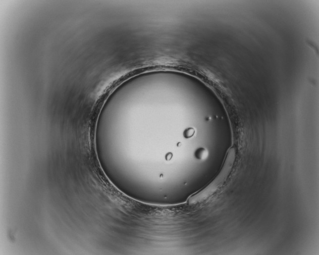 X0000102291214200808011505