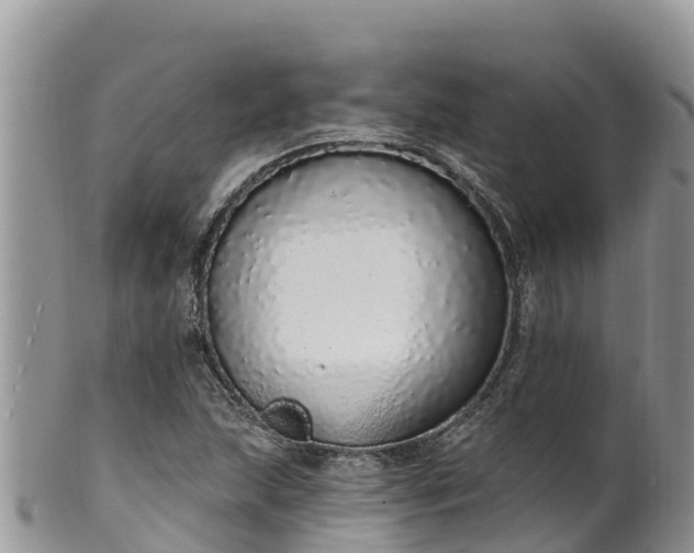 X0000102291215200808011505