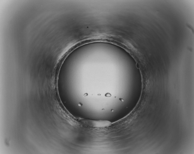 X0000102291216200808011505