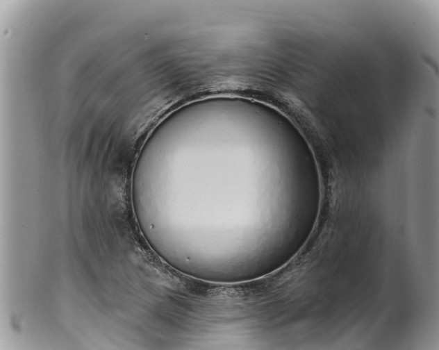 X0000102291217200808011505