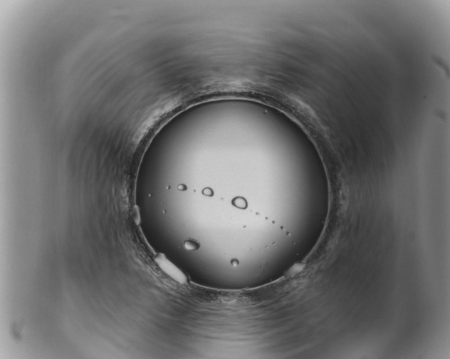 X0000102291218200808011505