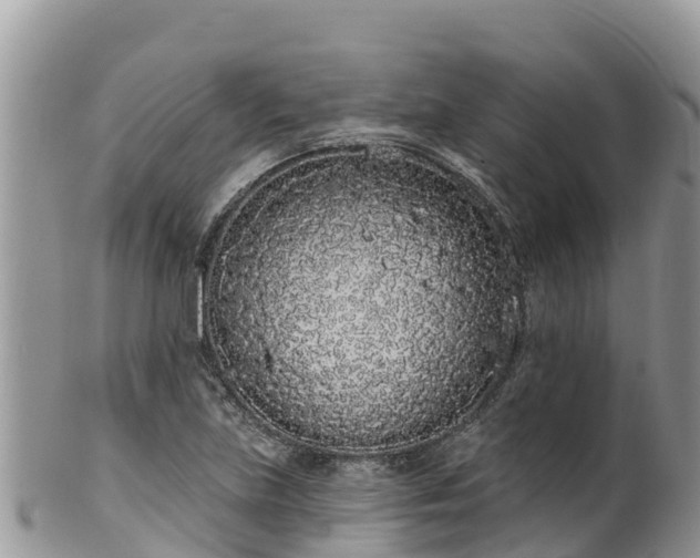 X0000102291219200808011505