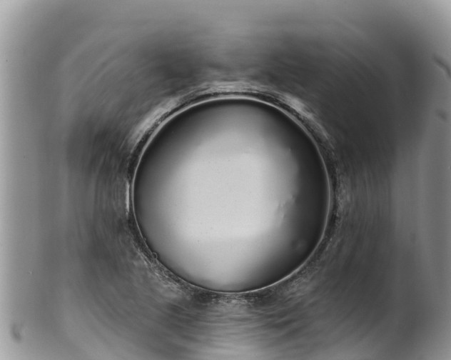 X0000102291221200808011506