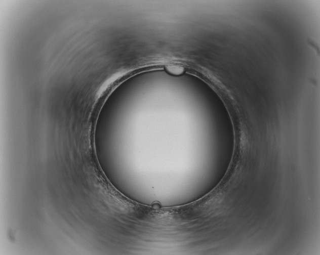 X0000102291222200808011506