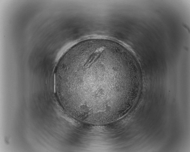 X0000102291223200808011506