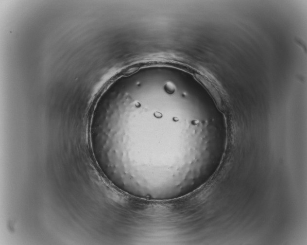 X0000102291224200808011506