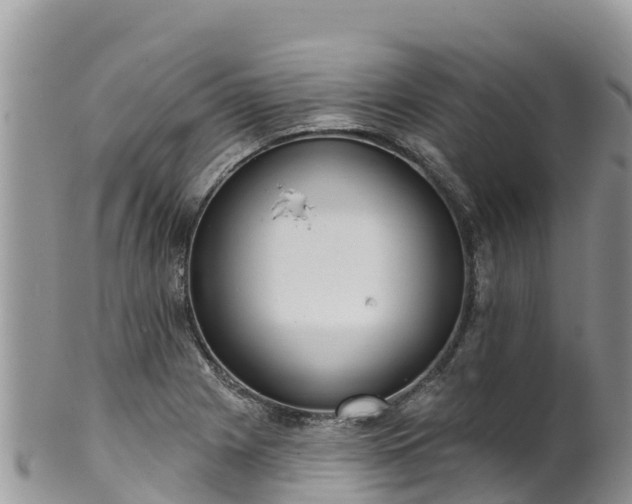 X0000102291225200808011506