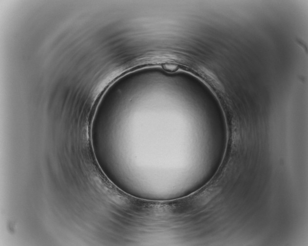 X0000102291226200808011506