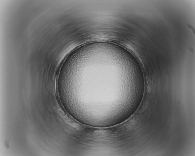 X0000102291227200808011506