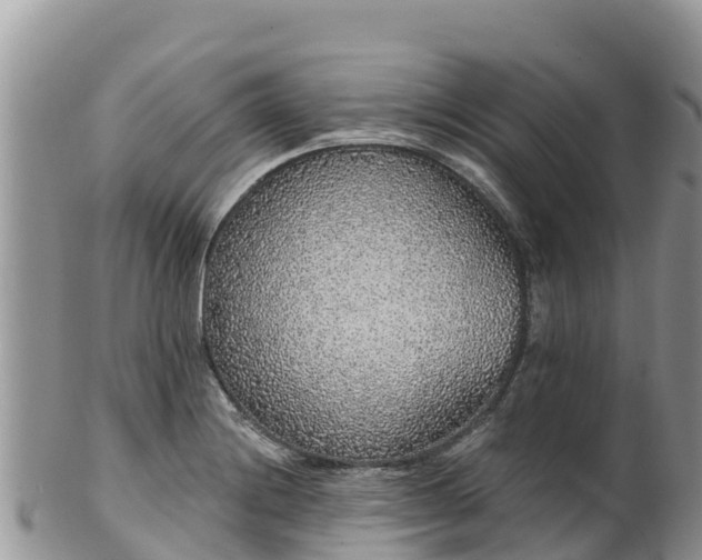 X0000102291228200808011506