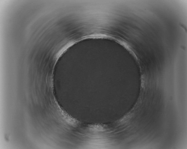 X0000102291229200808011506