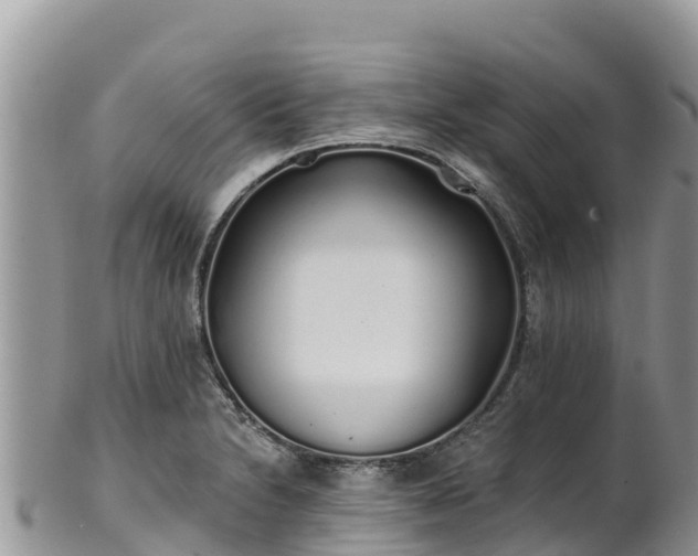 X0000102291230200808011506