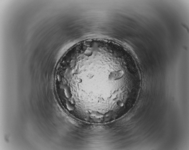 X0000102291231200808011506