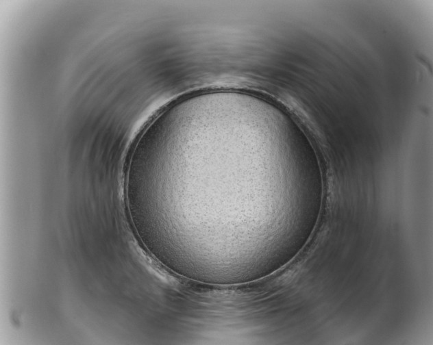 X0000102291232200808011506