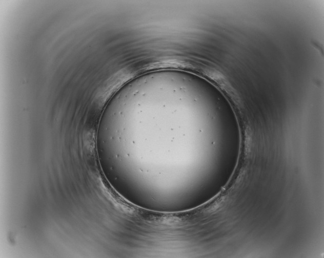 X0000102291233200808011506