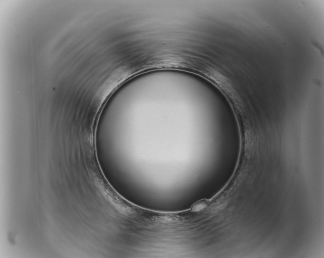 X0000102291234200808011506