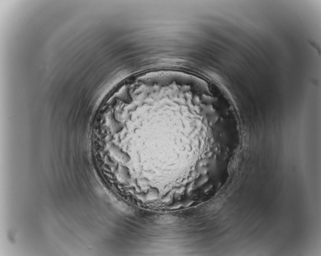 X0000102291235200808011506