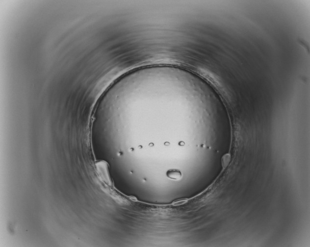 X0000102291236200808011506