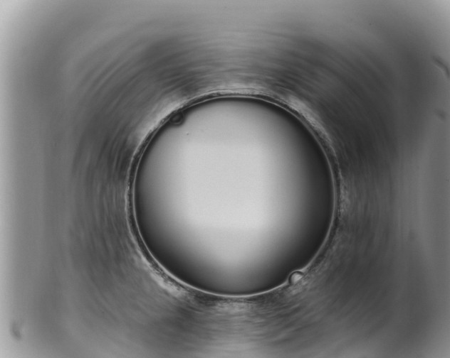 X0000102291237200808011506