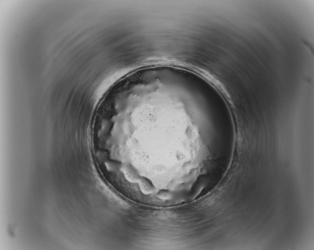 X0000102291239200808011506