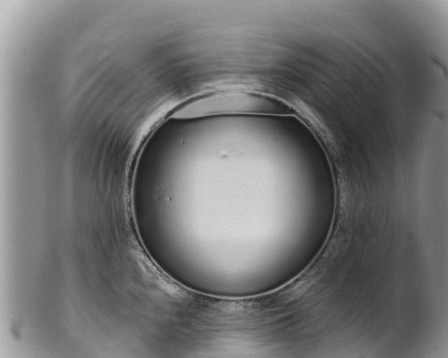 X0000102291240200808011506