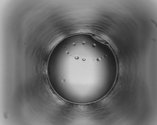 X0000102291241200808011506