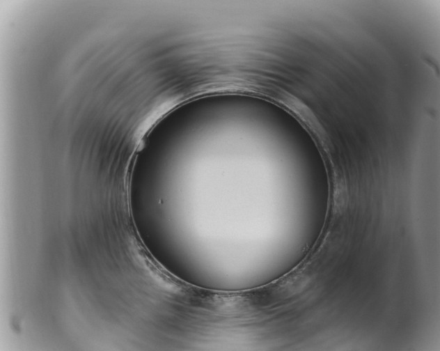 X0000102291242200808011506