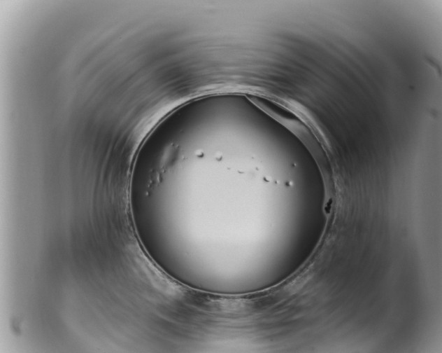 X0000102291244200808011506