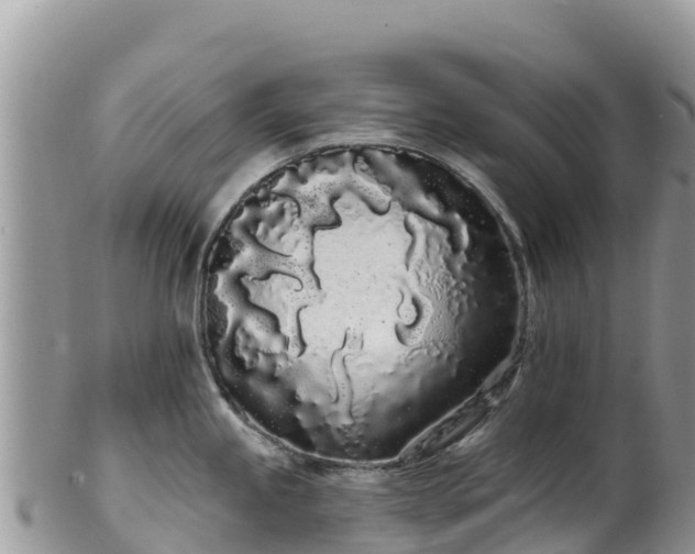 X0000102291245200808011506