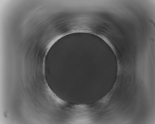 X0000102291246200808011506