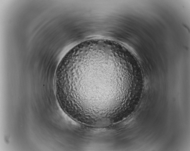 X0000102291247200808011506