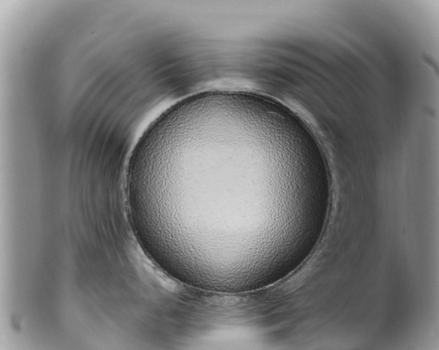 X0000102291248200808011506