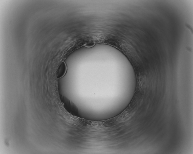 X0000102291249200808011505